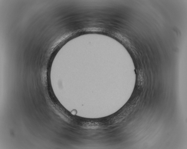 X0000112040535200909141119
