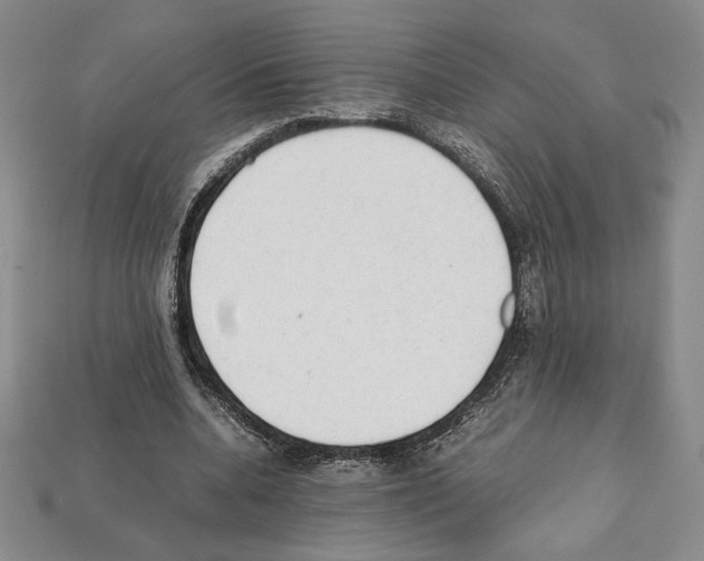 X0000112040536200909141119