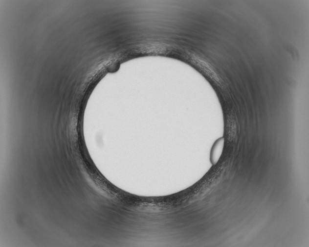 X0000112040538200909141119
