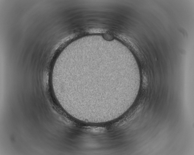 X0000112040539200909141119