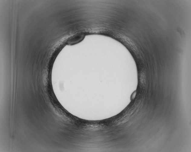 X0000112040540200909141119