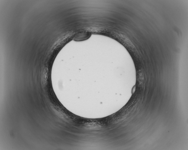 X0000112040544200909141119