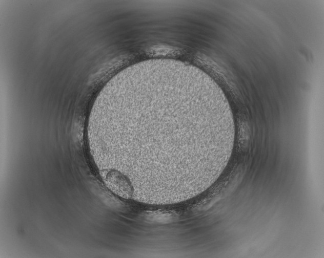 X0000112040545200909141119