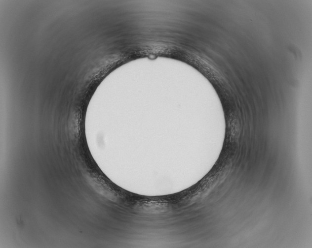 X0000112040546200909141119