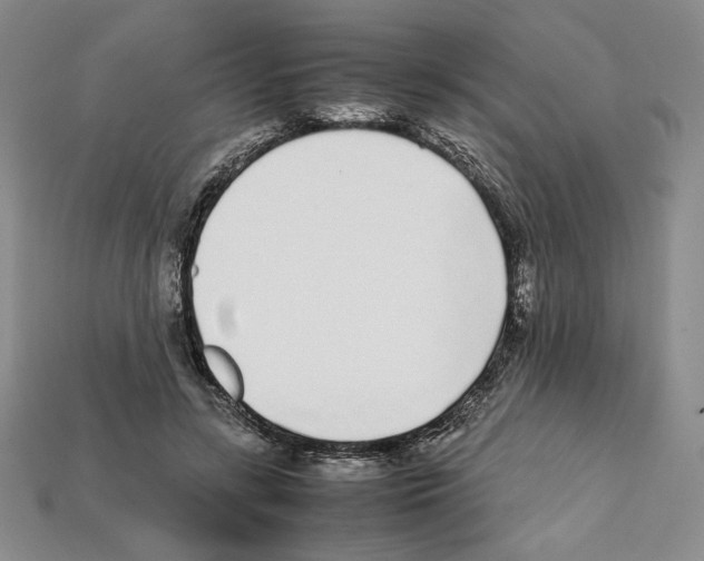 X0000112040547200909141119
