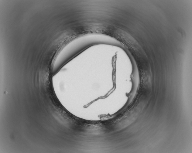 X0000112040548200909141119