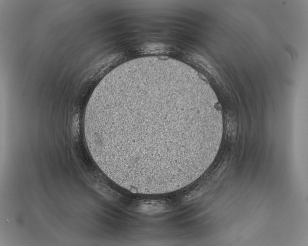 X0000112040549200909141119