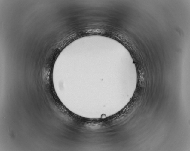 X0000112040551200909141119