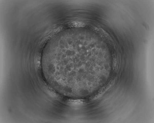 X0000112040553200909141119