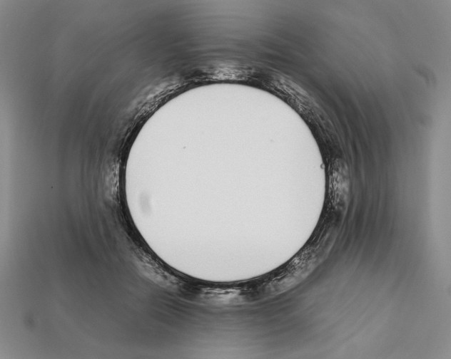 X0000112040554200909141119