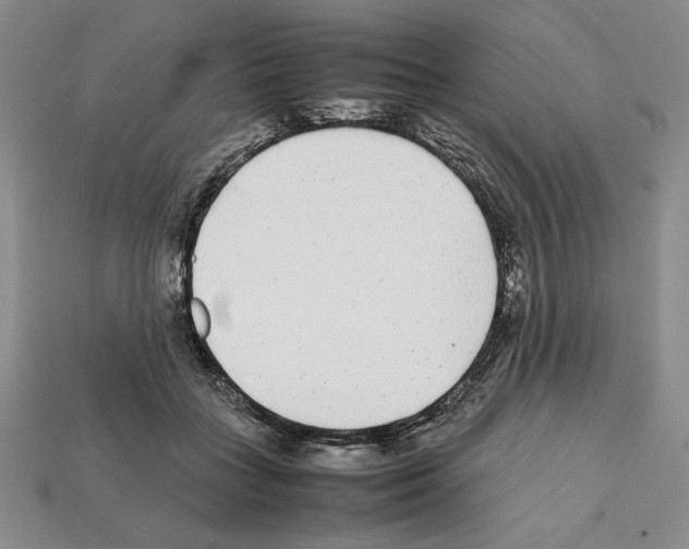X0000112040555200909141119