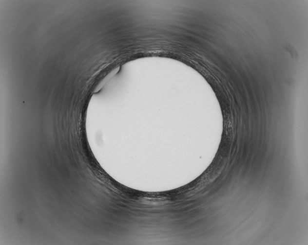 X0000112040556200909141119