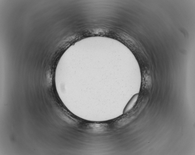 X0000112040558200909141119