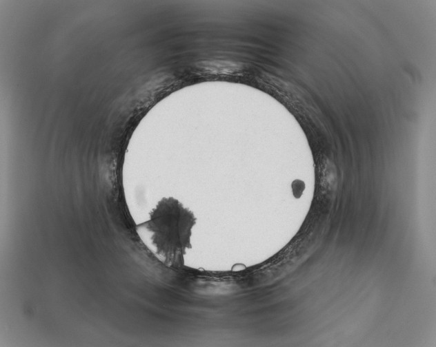 X0000112040559200909141119