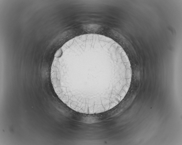 X0000112040561200909141119