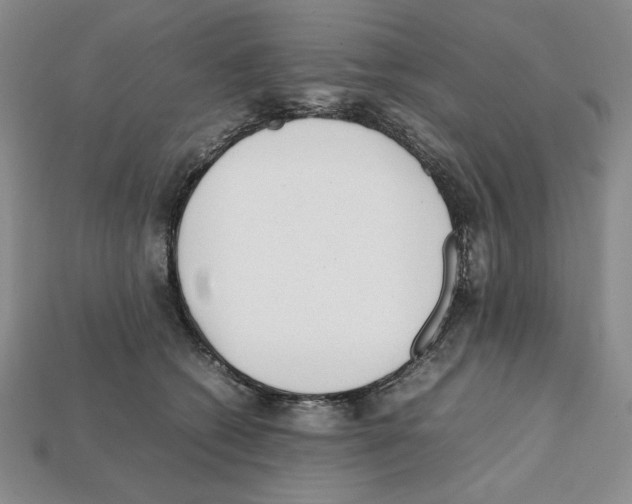 X0000112040562200909141119