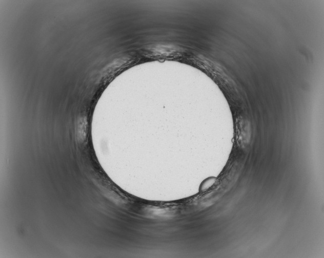 X0000112040563200909141119