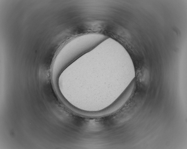 X0000112040564200909141119