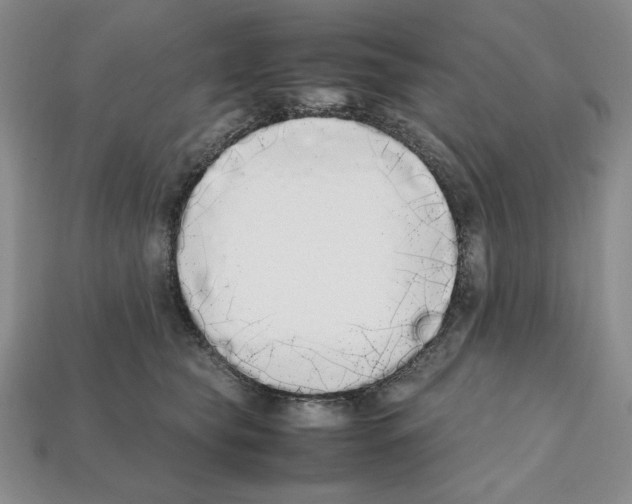 X0000112040565200909141119