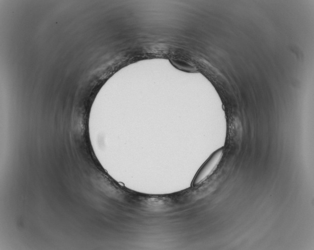 X0000112040566200909141119