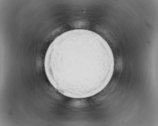 X0000112040569200909141119