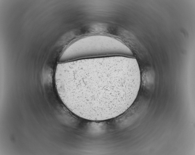 X0000112040570200909141119