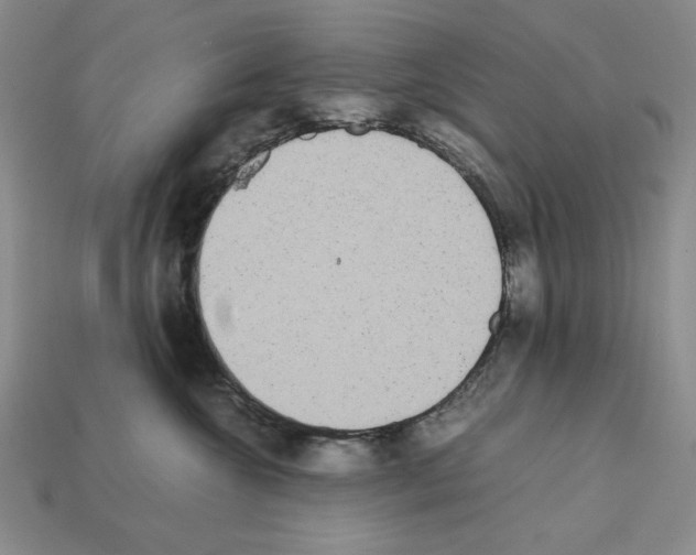 X0000112040572200909141119