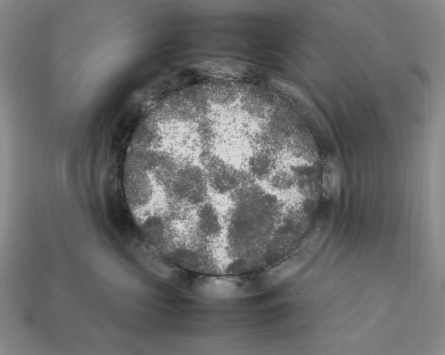 X0000112040573200909141119
