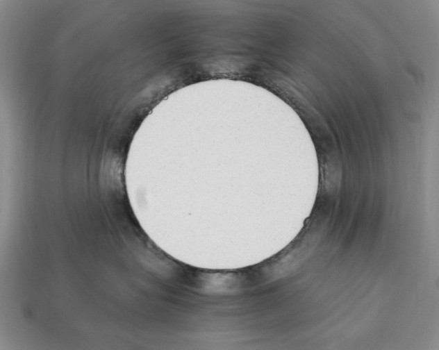 X0000112040575200909141119