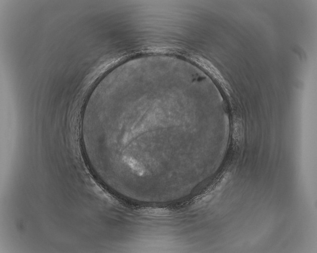 X0000112040577200909141119