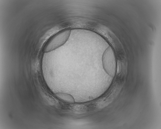X0000112040579200909141119