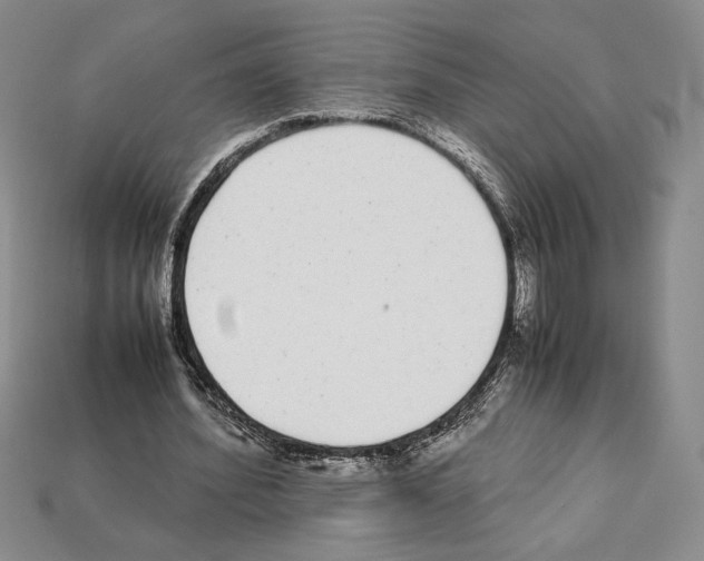 X0000112040580200909141119