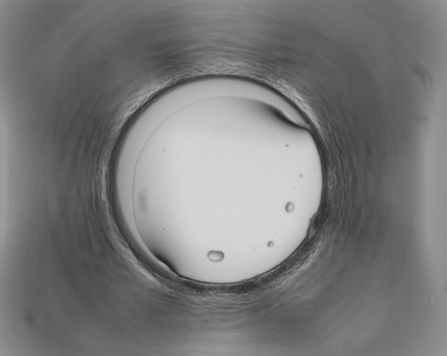 X0000112040581200909141119