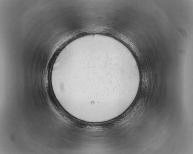X0000112040582200909141119