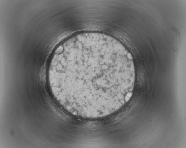 X0000112040584200909141119