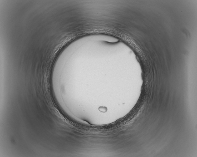 X0000112040585200909141119