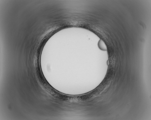 X0000112040587200909141119