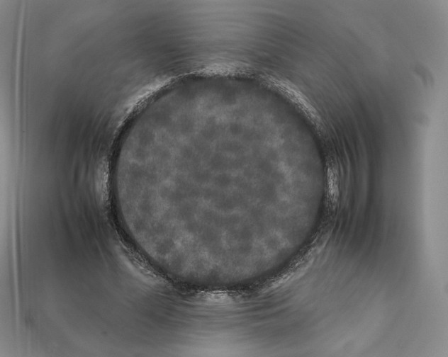 X0000112040588200909141119