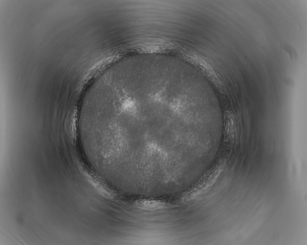X0000112040590200909141119