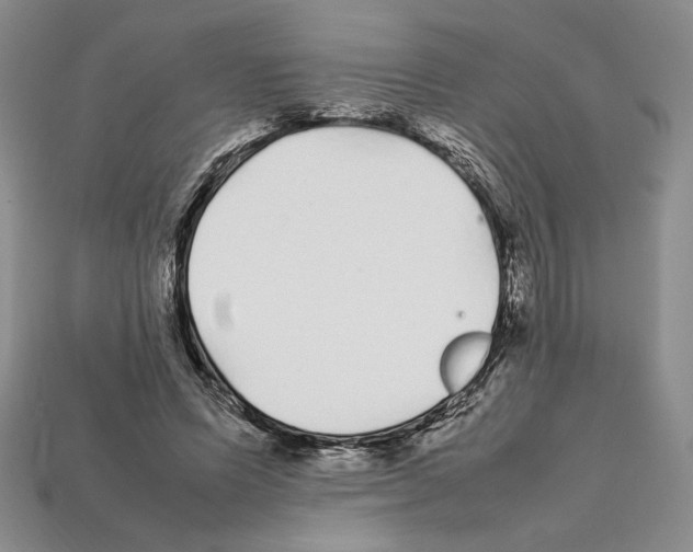 X0000112040591200909141119