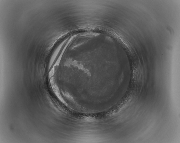 X0000112040592200909141119
