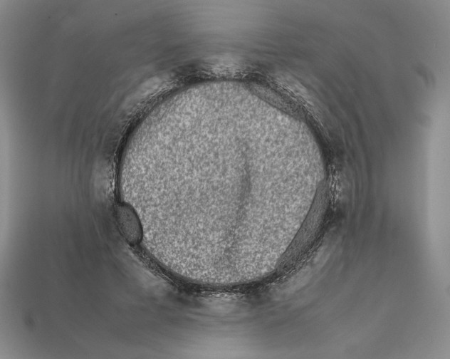 X0000112040593200909141119