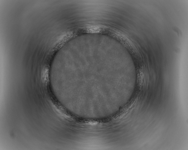 X0000112040598200909141119