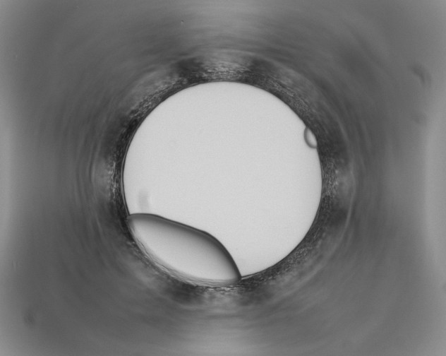 X0000112040599200909141119