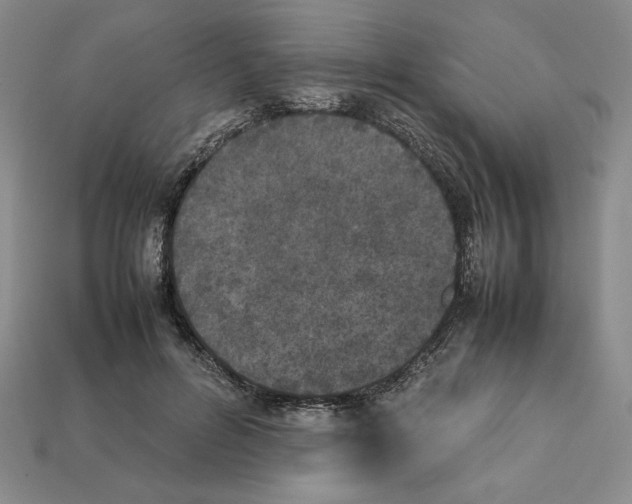 X0000112040600200909141119