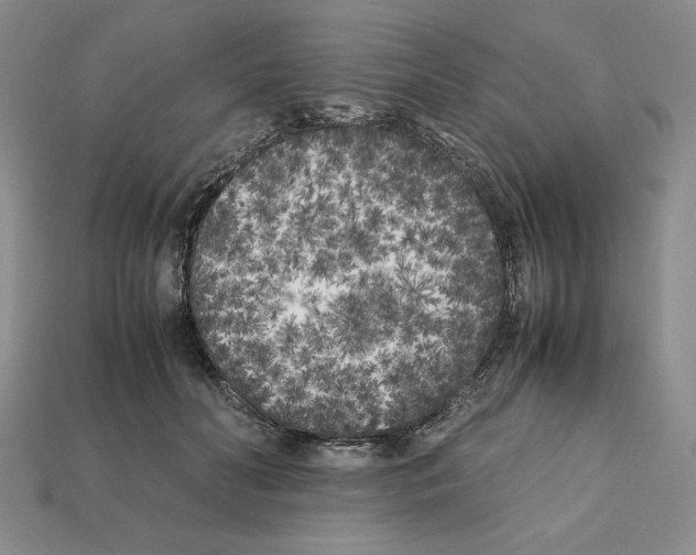 X0000112040606200909141118
