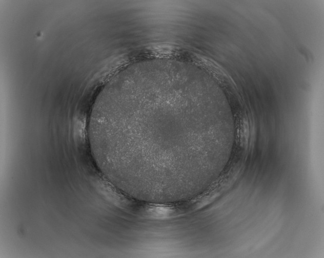 X0000112040610200909141118