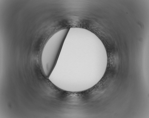 X0000112040611200909141118