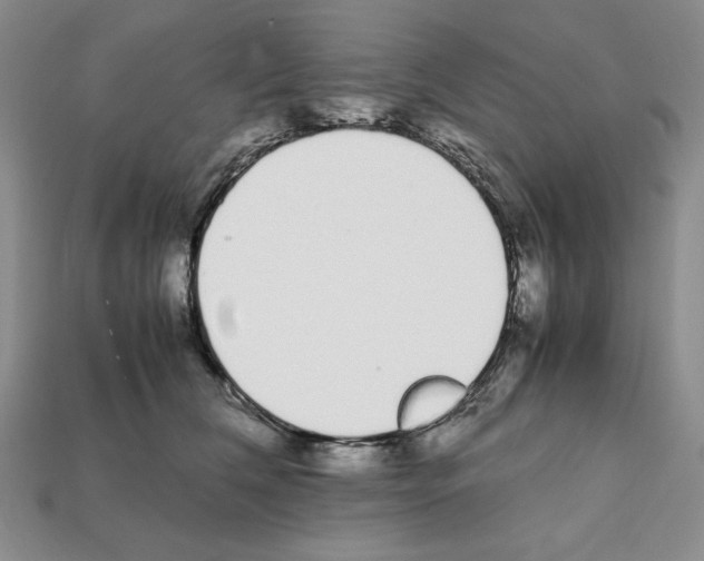 X0000112040612200909141118