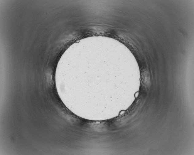 X0000112040615200909141118